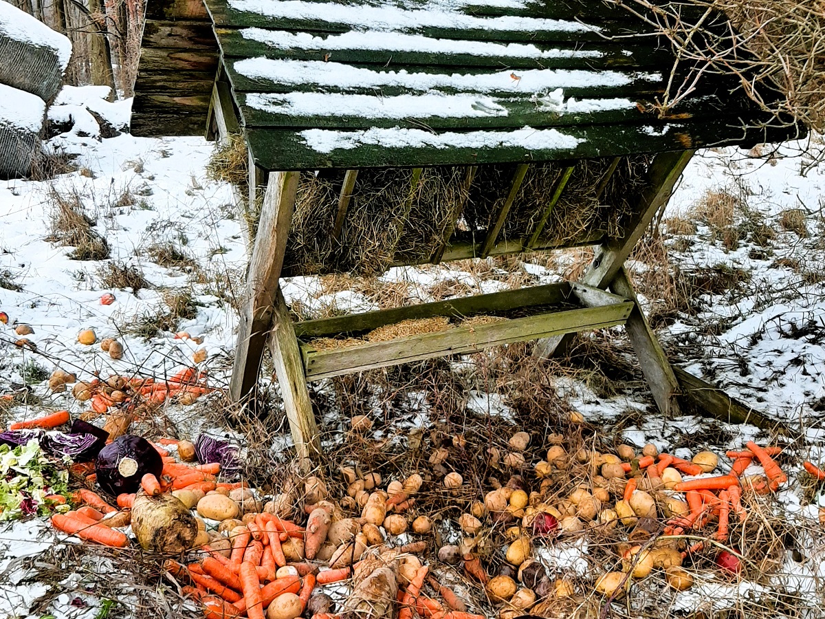 Dokarmiamy zwierzynę | Koło Łowieckie SZRON